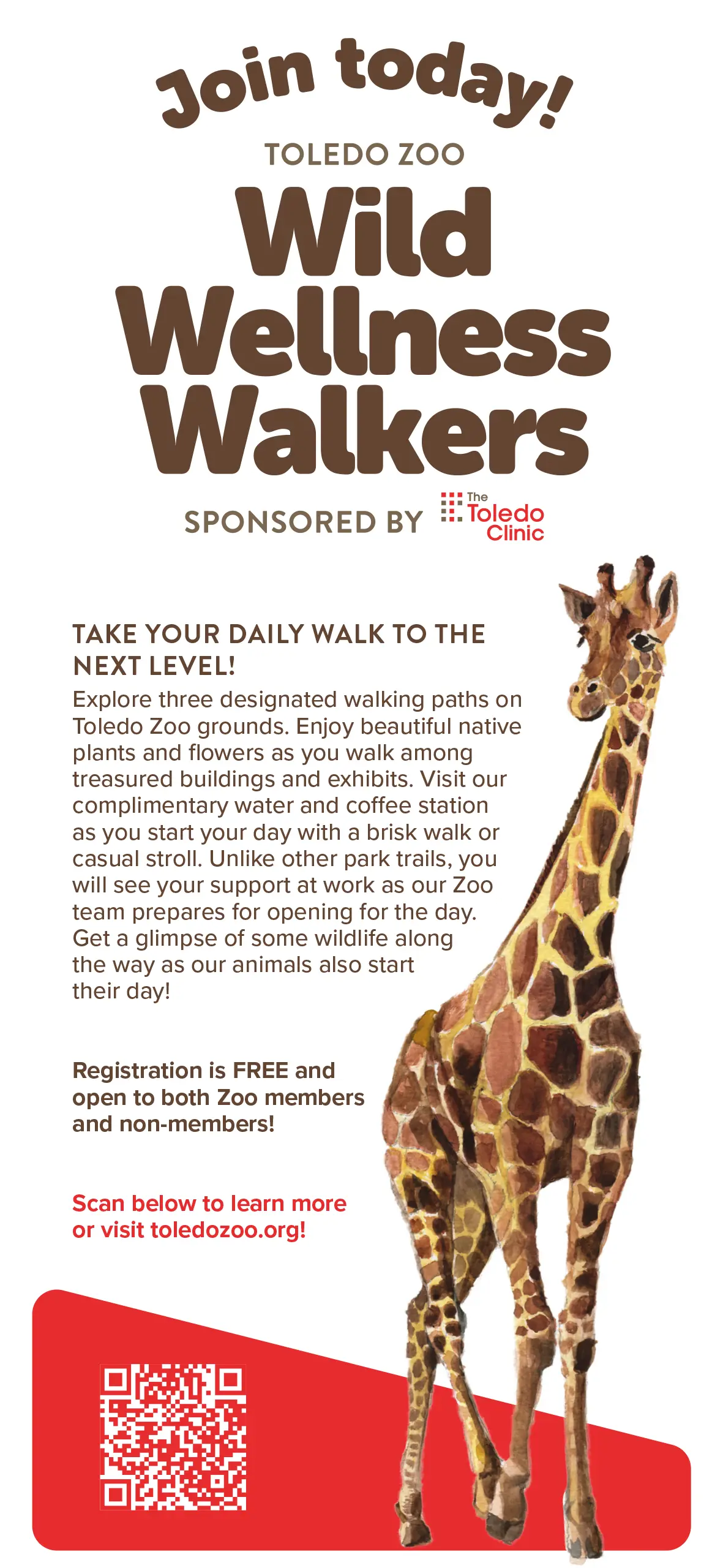 Wild Wellness Walkers